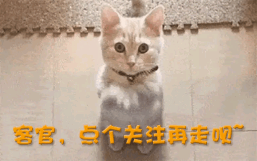 ”打了场翻身仗掌门人曾为爱疯狂亏损40亿AG真人游戏地址暴涨71%！“一代鞋王(图24)